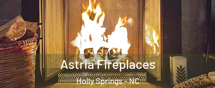  Astria Fireplaces Holly Springs - NC