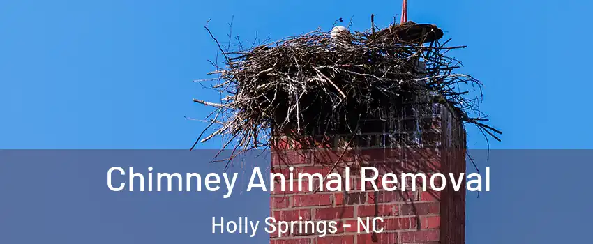 Chimney Animal Removal Holly Springs - NC