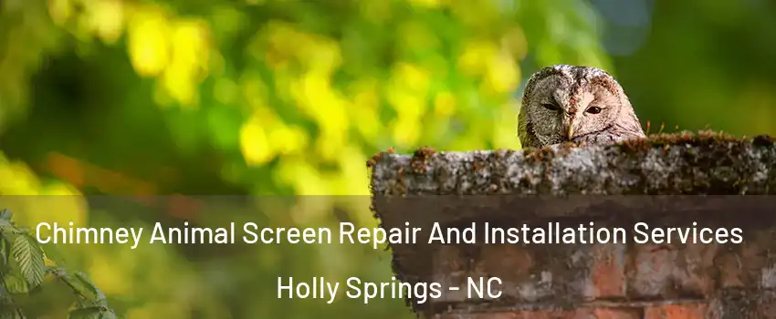  Chimney Animal Screen Repair And Installation Services Holly Springs - NC