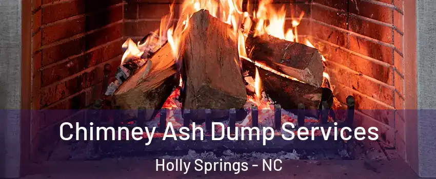  Chimney Ash Dump Services Holly Springs - NC