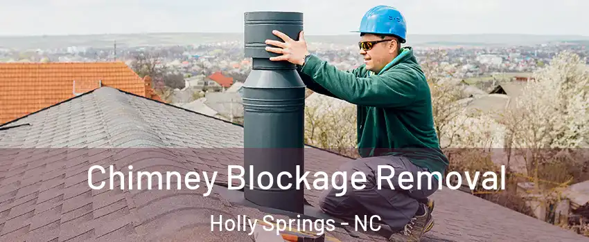  Chimney Blockage Removal Holly Springs - NC