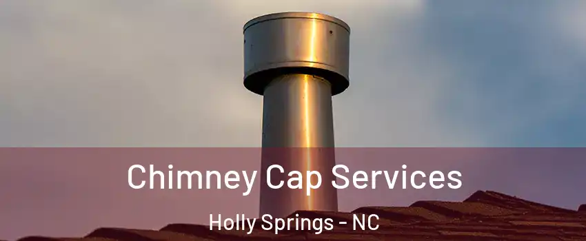  Chimney Cap Services Holly Springs - NC