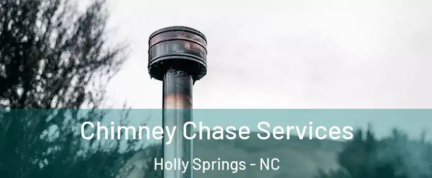  Chimney Chase Services Holly Springs - NC