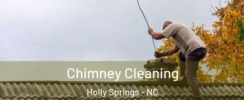  Chimney Cleaning Holly Springs - NC