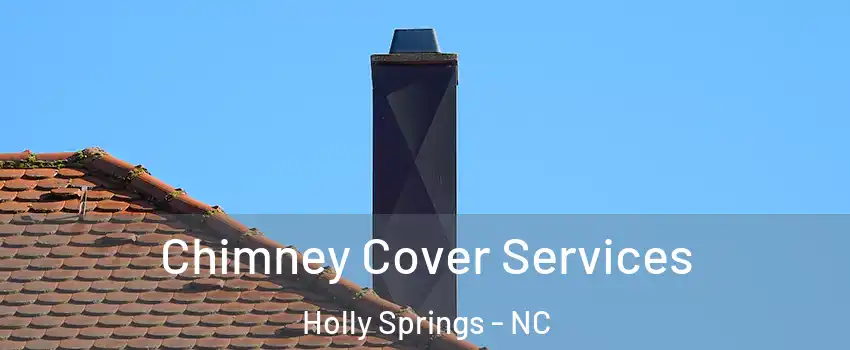  Chimney Cover Services Holly Springs - NC