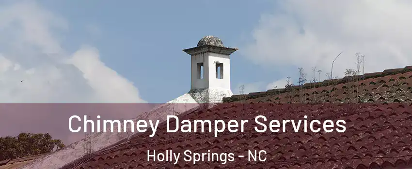  Chimney Damper Services Holly Springs - NC
