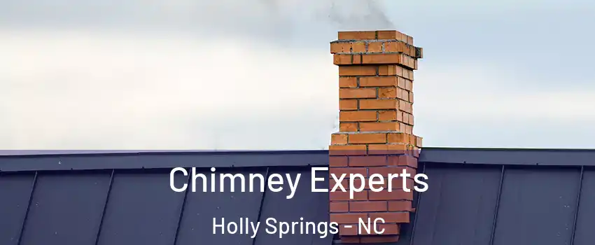 Chimney Experts Holly Springs - NC