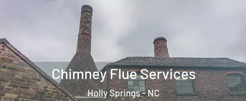  Chimney Flue Services Holly Springs - NC