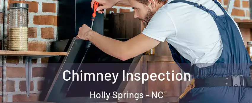  Chimney Inspection Holly Springs - NC