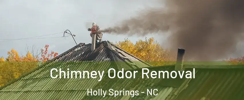 Chimney Odor Removal Holly Springs - NC