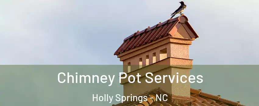  Chimney Pot Services Holly Springs - NC