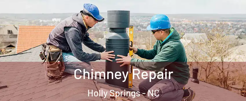  Chimney Repair Holly Springs - NC