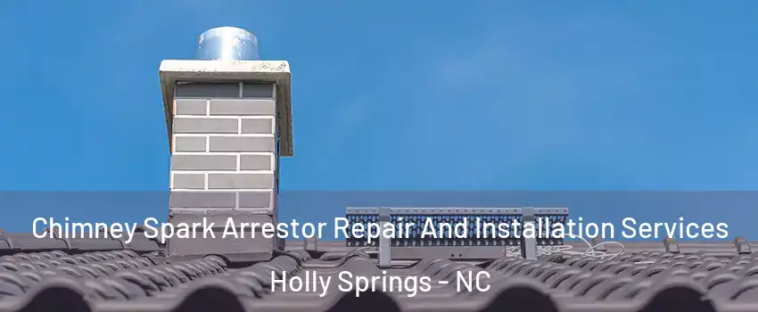  Chimney Spark Arrestor Repair And Installation Services Holly Springs - NC