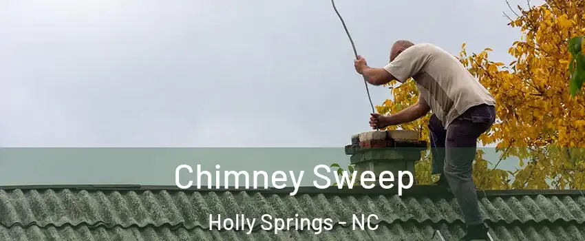  Chimney Sweep Holly Springs - NC