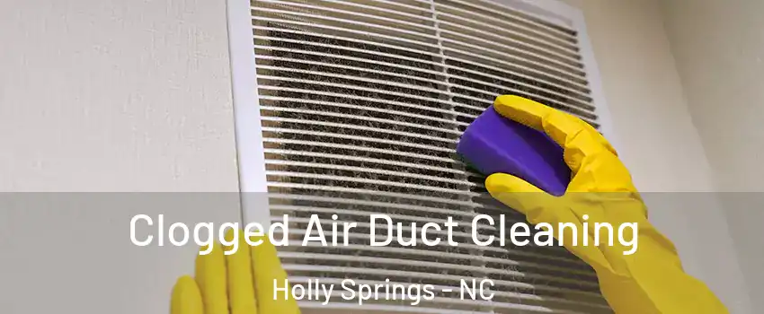  Clogged Air Duct Cleaning Holly Springs - NC
