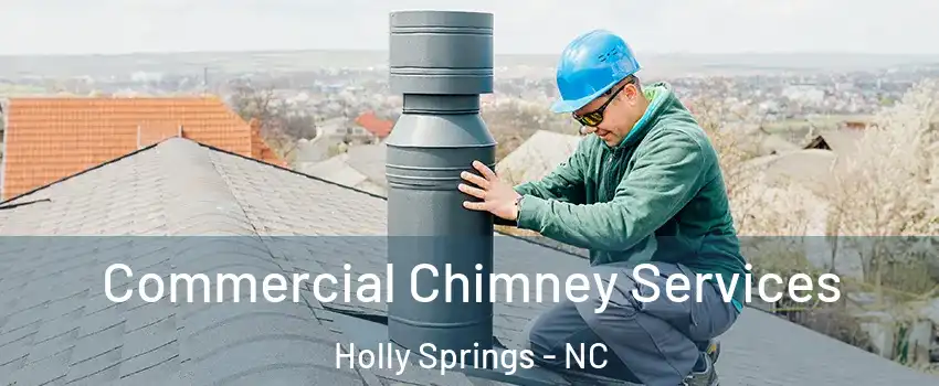  Commercial Chimney Services Holly Springs - NC
