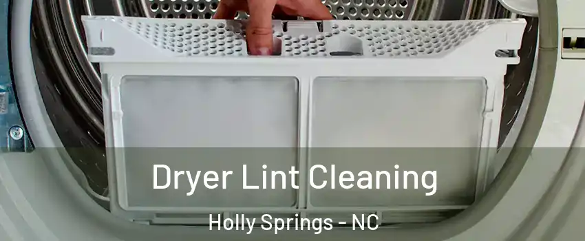  Dryer Lint Cleaning Holly Springs - NC