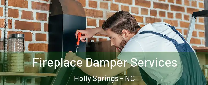  Fireplace Damper Services Holly Springs - NC