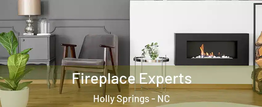  Fireplace Experts Holly Springs - NC