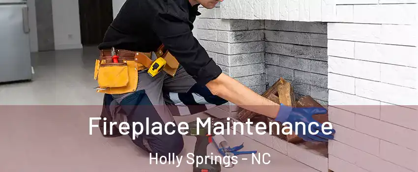  Fireplace Maintenance Holly Springs - NC