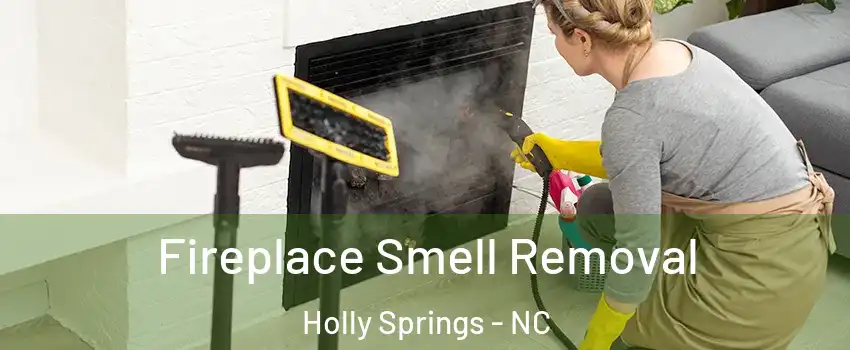  Fireplace Smell Removal Holly Springs - NC