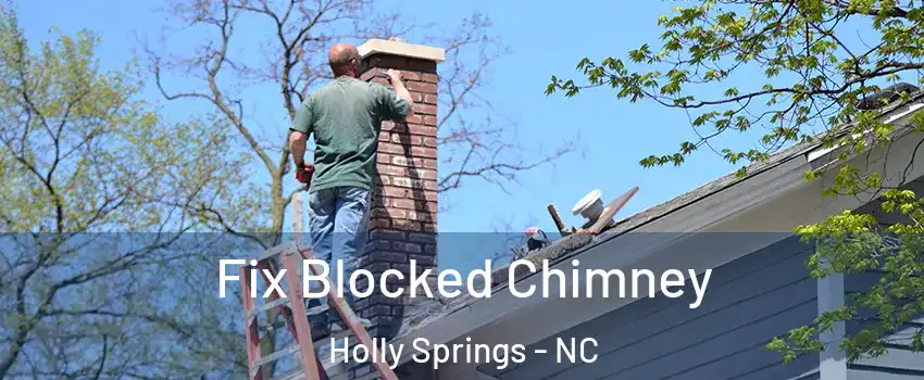  Fix Blocked Chimney Holly Springs - NC