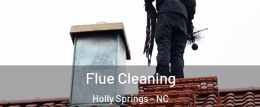  Flue Cleaning Holly Springs - NC