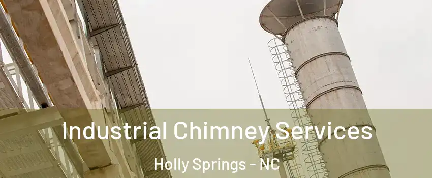  Industrial Chimney Services Holly Springs - NC