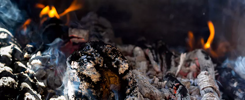 Creosote Removal Experts in Holly Springs, NC
