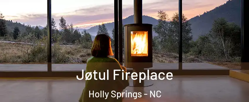  Jøtul Fireplace Holly Springs - NC