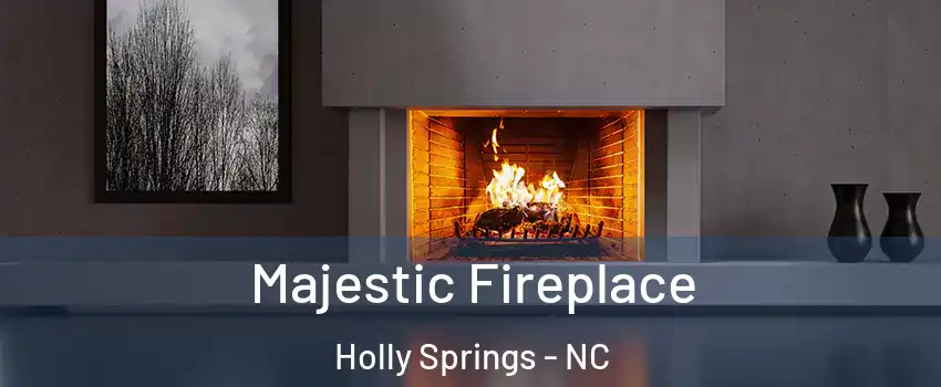  Majestic Fireplace Holly Springs - NC