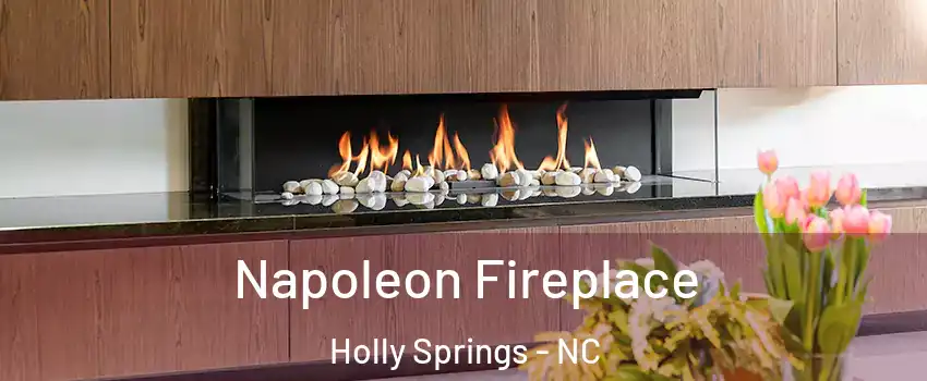  Napoleon Fireplace Holly Springs - NC