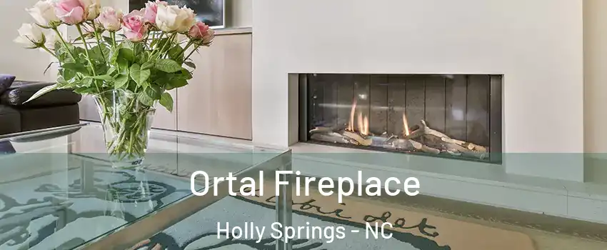 Ortal Fireplace Holly Springs - NC